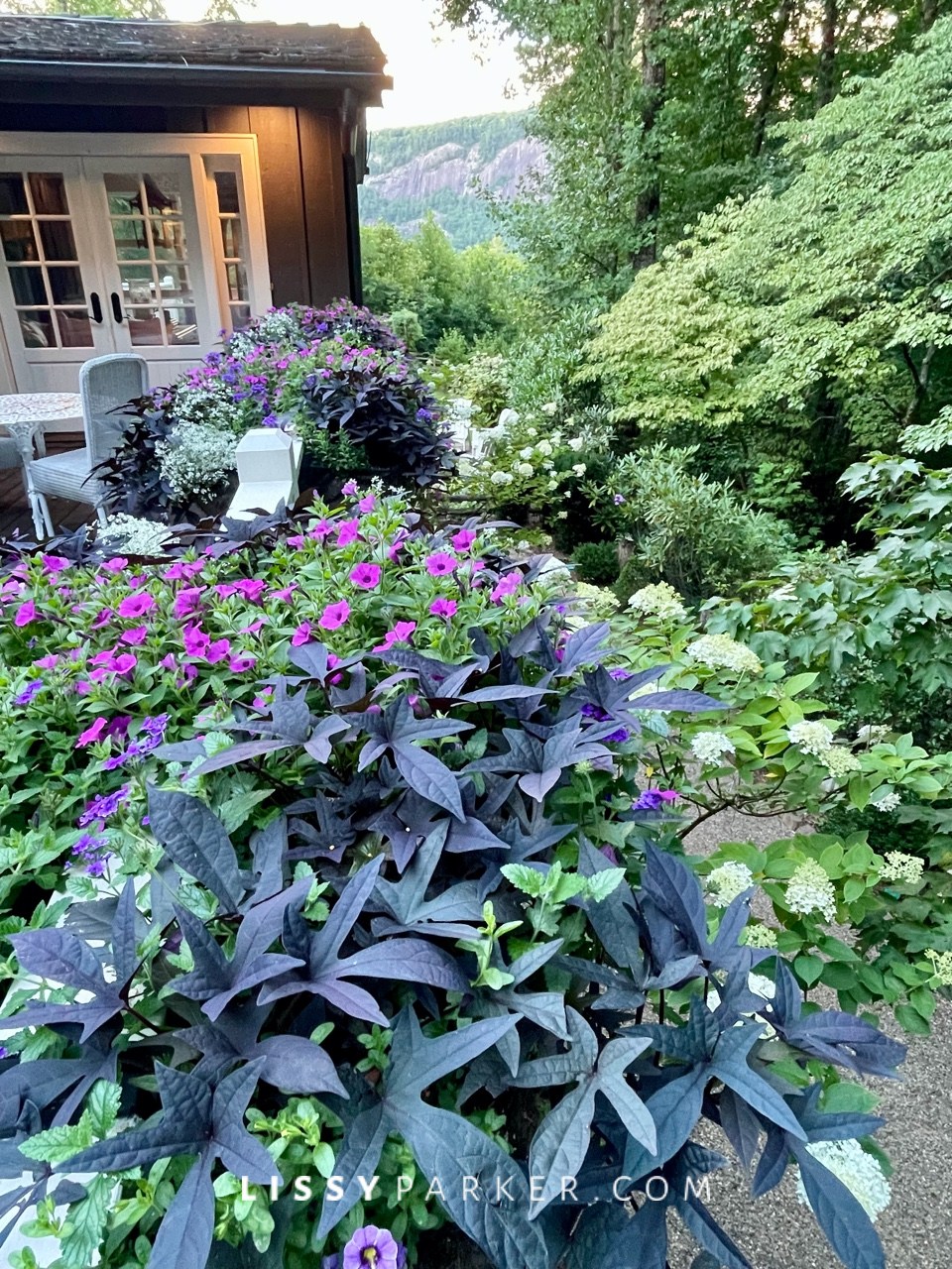 Summer window boxes