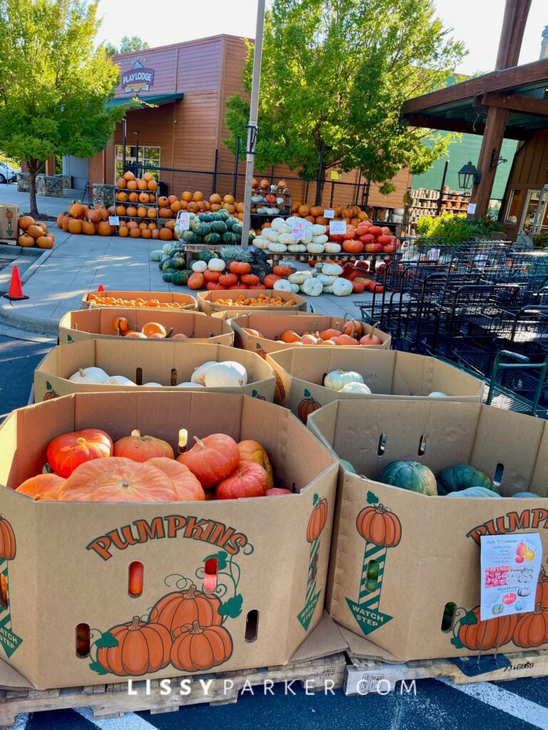 Pumpkin shopping