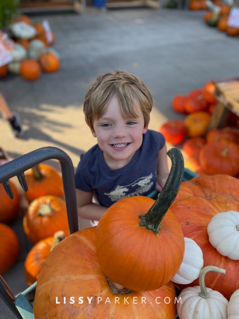 Pumpkin shopping